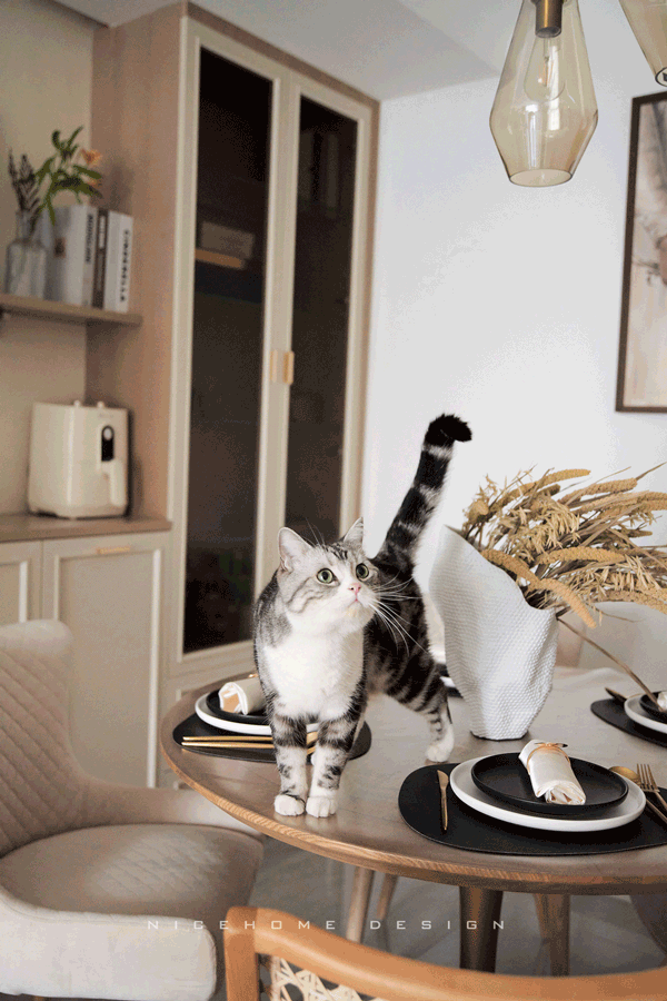 1625535707268905.gif 微信圖片_20210706093548.gif