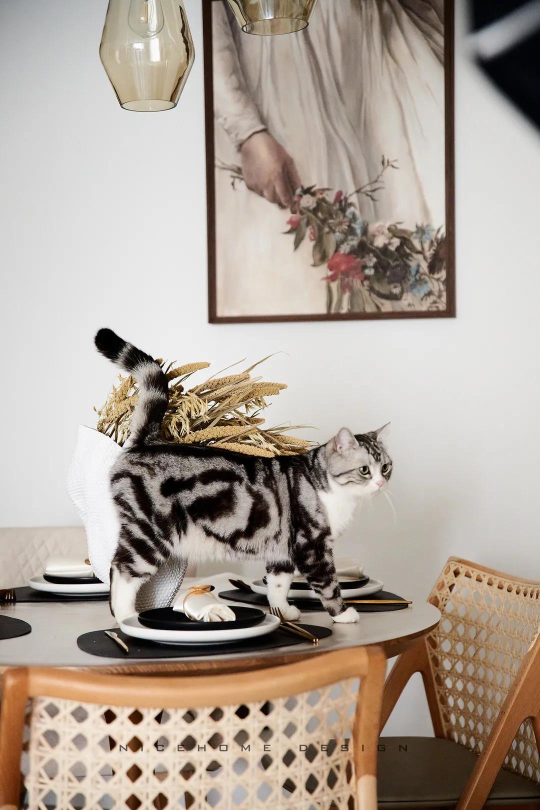 1625535918129955.jpg 微信圖片_20210706093723.jpg